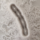 This haunting bacteria is actually an intricate hand-cut paper sculpture